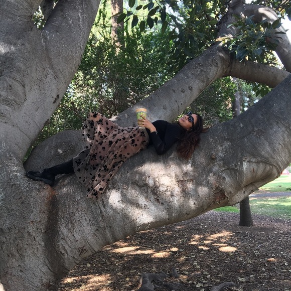 Meet your Posher, Taylor - Picture 1 of 1